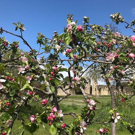 Magnolia Tree House Apartment Glastonbury Bagian luar foto